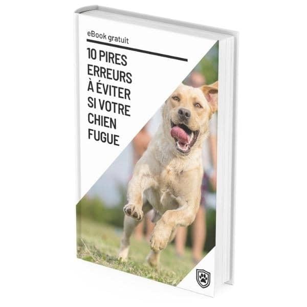 Ebook erreurs à éviter chien fugueur
